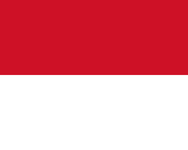 Flag 31